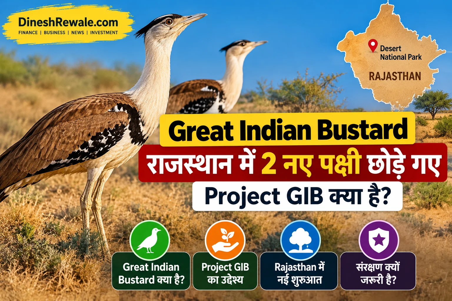राजस्थान के Desert National Park में दो captive-bred male Great Indian Bustards release किए गए। जानिए Project GIB और इसका महत्व।